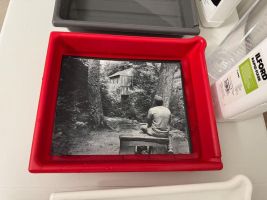 Moore State Park 8x10 contact print|8x10 Photography