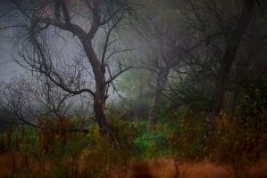 Hashawha - Westminster, Maryland|Landscapes