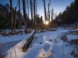 Wachusett Reservoir Creek |Landscapes